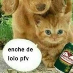 funk funk bolado 2.0