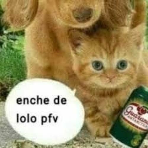 funk funk bolado 2.0