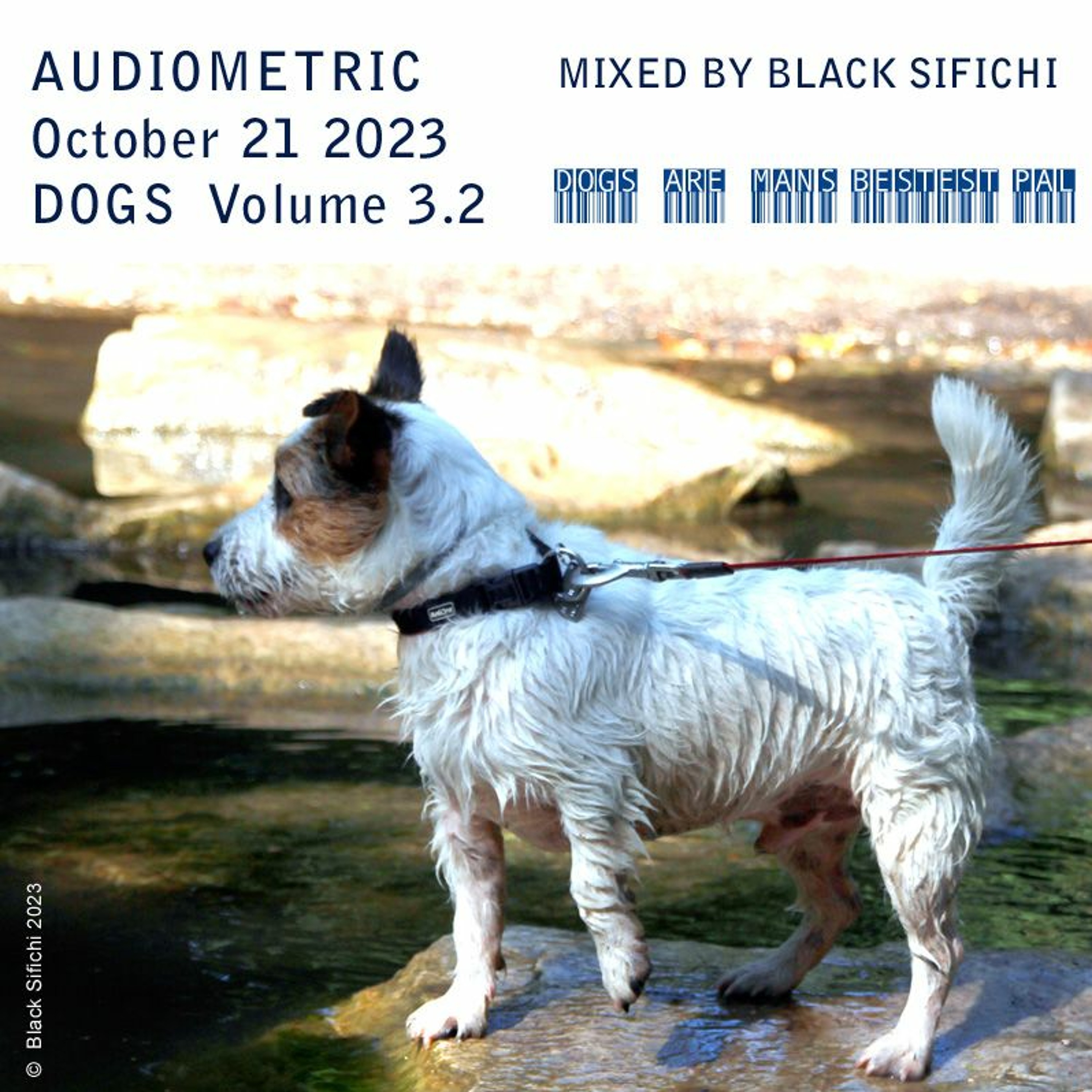 Audiometric October 21 2023 - mixed by Black Sifichi - Dogs Volume 3.2
