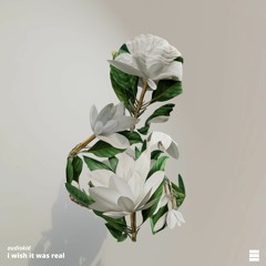 audiokid - i wish it was real (Bonafide Vol.5)
