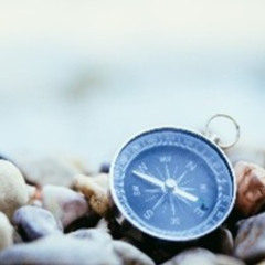 Avenalex  1 st experience