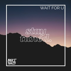 Mike Tunes - Wait For U