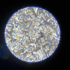 Penge Poesi (feat. HB)