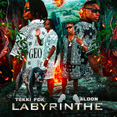 Aldon n Tekki FCK - LABYRINTHE