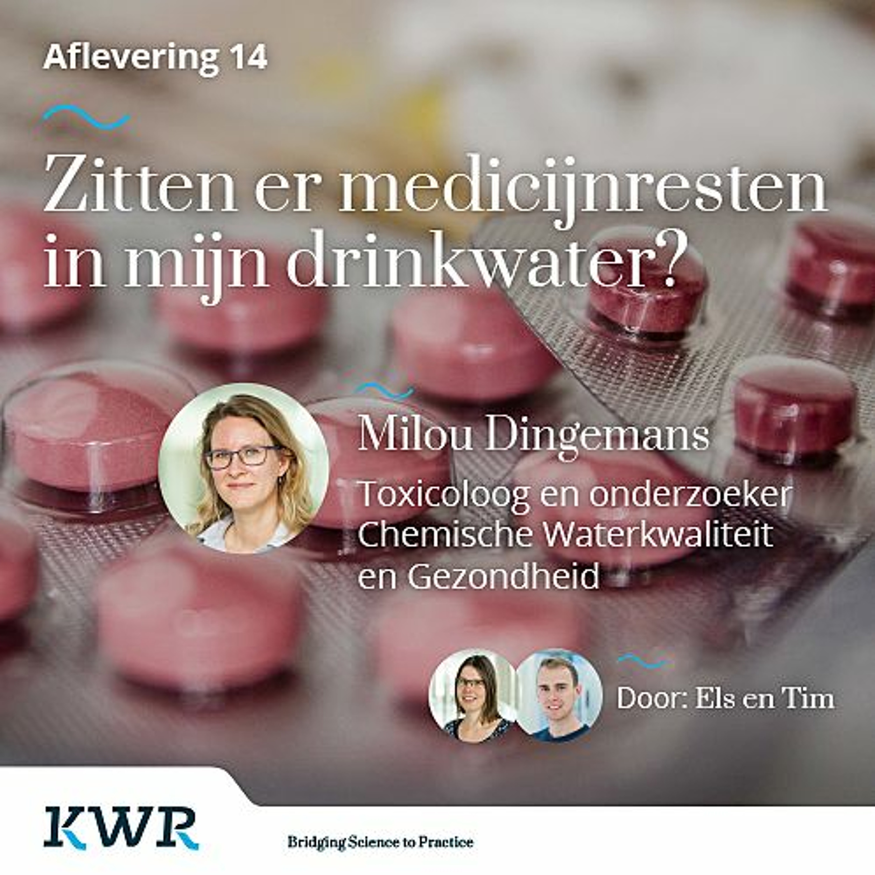 Word Waterwijs
