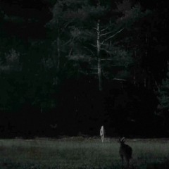 2024 "BLEED" Showcase