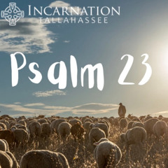 Shepherding In The Wilderness (Psalm 23)
