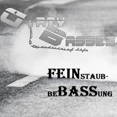 Dirty Basses @ FEINstaubbeBASSung