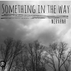 Nirvana-something the way (cover).