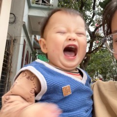 cơn gió vi vu cùng vì tinh tú