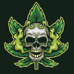 got high dnb