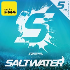 SALTWATER - 5 Years Special Edition Show @ Radio FM4
