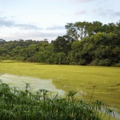 Environnement : Cotonou face aux défis de l’assainissement