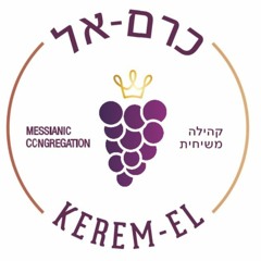 יום היכפורים 2023 - רומים פרק י"א פס' 11-15: "תְּקוּמָה מִמָּוֶת אֱלֵי חַיִּים" - 23.9.2023