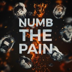 6 artists, 1 song: Clarx, Catas, Le Malls, Chenda, Anikdote - Numb The Pain (feat. Shiah Maisel)