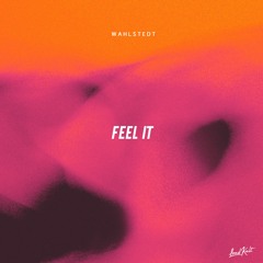 Wahlstedt -  Feel it