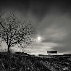melancholic beauty