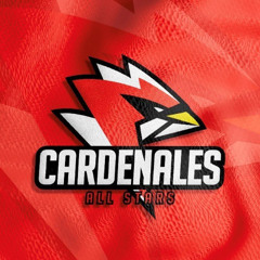 Cards Jedi Masters 25