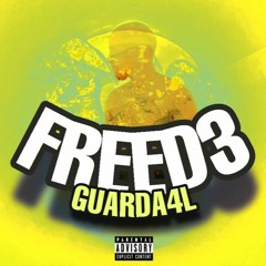 GUARDA4L - FREED3 ++ INSL RECORD$