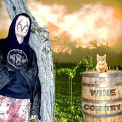 🍷𝓦ine 𝓒ountry「ft swotl​」#𝗥𝗧𝗥𝟭