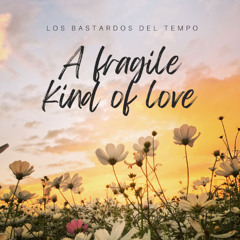 A Fragile Kind of Love(Lyrics)