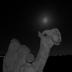 يالله انك ترحم القلب المهيم