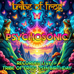 Psychosonic - Recorded at TRiBE of FRoG 25th Birthday 2025