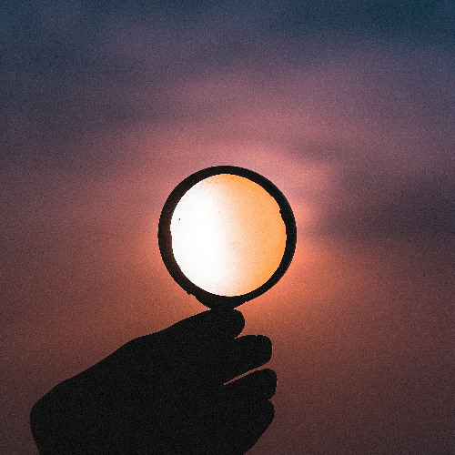 Taking an Interest in the Mind