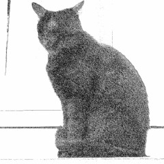 셀마를 기다리며