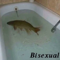 Minecaraft breakcore