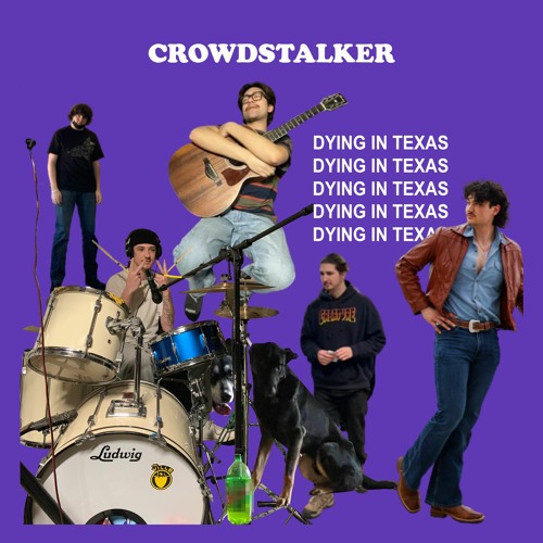 crowdstalker