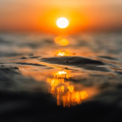 Best Playlist 2024