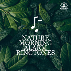 Soothing Wake Up