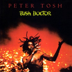 Bush Doctor (2002 Remaster)