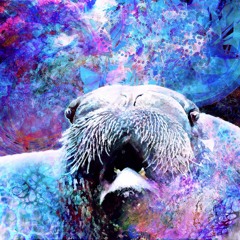 Enigmada & Loudart - Rostungur Speaks