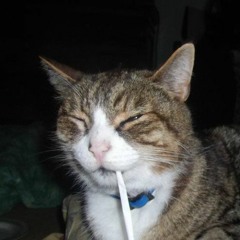 Classy Beat (ft 2 entire tempo changes)