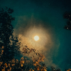 u niggas must be stupid