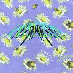 DROPPIN' (FUTURE RIDDIM) SEEDS