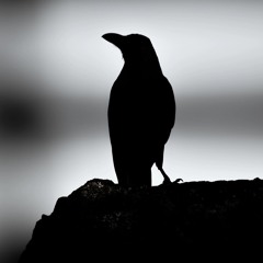 Minimalistica 003