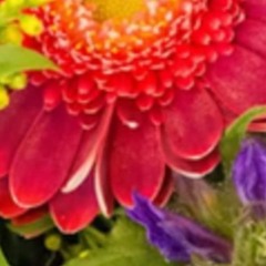 Planet X W/ IPG1 - Funky Flow / By The Numbers / Im Keeping Score