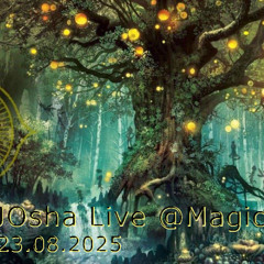 Increase Awareness - JOsha Live Mix @Magic Forest