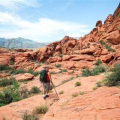 Review Special Price Red Rock Canyon Hike With Transport From Las Vegas