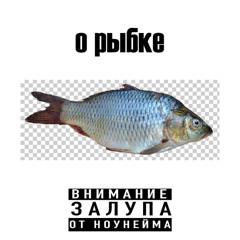о рыбке w/ янг мелиска