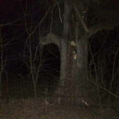 The Void From Whence It Came