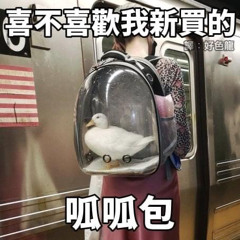 臨時起意的中文饒舌