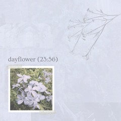 quiet on the bayfront