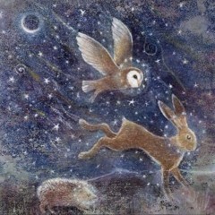 Winter Solstice