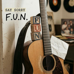 These Guitars Say Sorry - F.U.N.