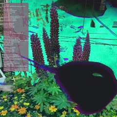 without witness (nurse joy demo)