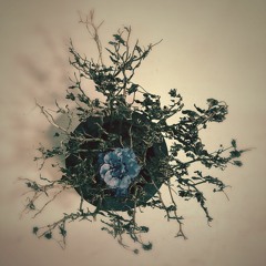 STRNGE x M1NT - Nice To Meet You